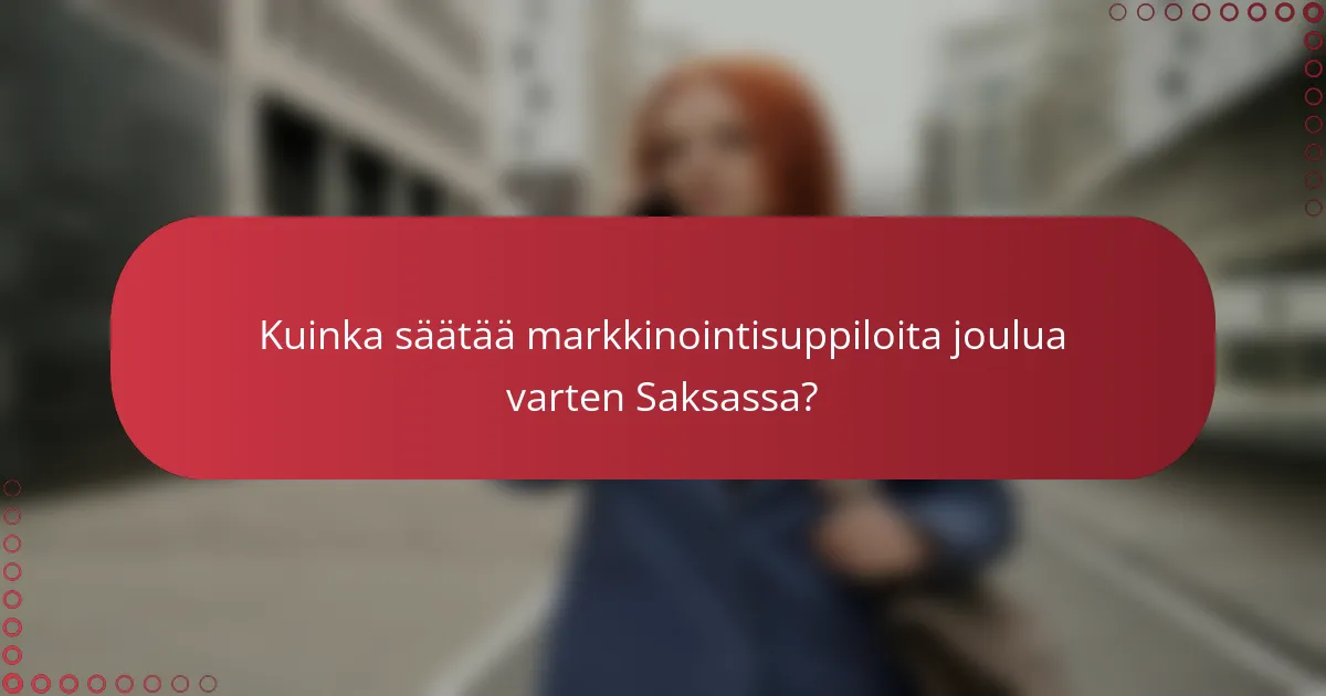 Kuinka säätää markkinointisuppiloita joulua varten Saksassa?